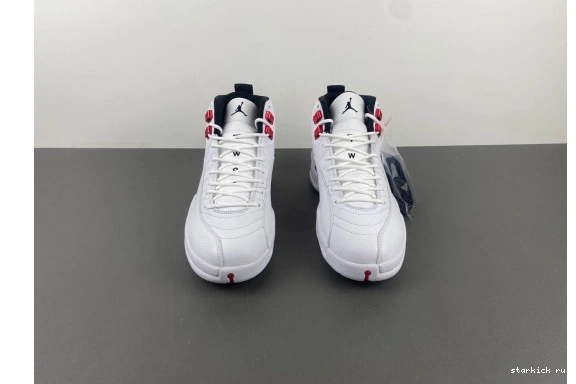 CT8013-106 “Twist” Jordan Air 12 CT8013-106  1231